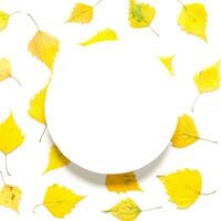 Creative layout of yellow autumn leaves with space for text on white paper. Mockup. View from above. - Image photo