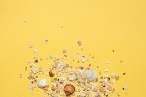 Sea shells pattern on yellow paper background. Summer concept. Flat lay, top view - Image photo