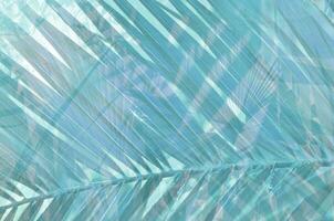 Abstract tropical  leaves pattern. Art stylization - Image photo