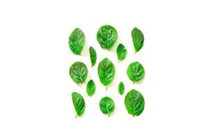 Top view of mint herbs on white background. Minimal raw herb concept design. - Image photo