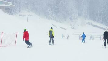 pamporovo, bulgarije, januari 2023 groep van toeristen skiën Aan berghelling hellingen omringd door pijnboom boom bossen gedurende verkoudheid sneeuwstorm het weer. skiërs aan het doen extreem sport, glijden naar beneden berg heuvel video