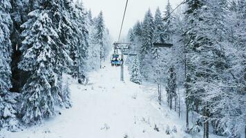 pamporovo, Bulgaria, enero 2023 turistas con skiis y tablas de snowboard montando esquí levantar preparando a Vamos abajo en peligroso experto nivel montaña laderas esquiadores y practicantes de snowboard alpinismo ladera de la montaña para video