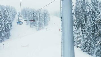 pamporovo, Bulgaria, enero 2023 esquiadores vistiendo profesional equipo montando esquí levantar a alcanzar glacial montaña parte superior hacia abajo Pendiente rodeado por bosque. turistas ascendente ladera de la montaña colinas adornar con video