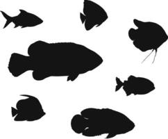 Different fish silhouettes vector