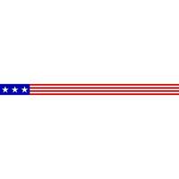 usa flag line divider vector