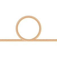 rope noose line border vector