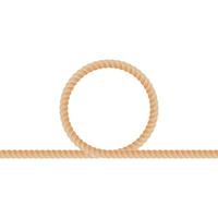 rope noose line border vector