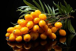 Sea buckthorn on a black background.Generative AI photo