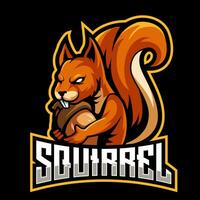 squirrel mascot logo. chipmunk esport gaming logo vector