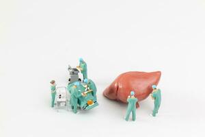 Miniature people, Doctor and nurse medical team are performing surgical operation at emergency room photo