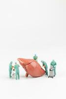 Miniature people, Doctor and nurse medical team are performing surgical operation at emergency room photo