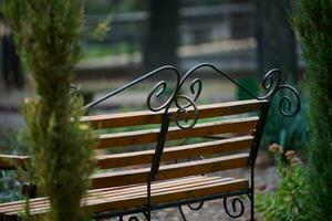 Wooden bench in autumn park photo