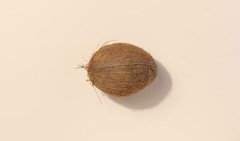 Whole coconut on beige background, top view photo