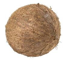 Whole round coconut on white isolated background photo