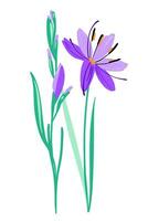 Beautiful lilac color gladiolus like flower composition. Vector simple bright color botanical group for decoration. Floral element.