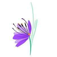 Beautiful lilac color gladiolus like flower composition. Vector simple bright color botanical group for decoration. Floral element.