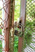 Metal padlock extra binary top security on the iron mesh gate photo