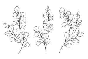 Eucalyptus Greenery Line Art, Fine Line Leaves Hand Drawn Illustration. Botanical Coloring Page. Outline Leaves Isolated on White vector