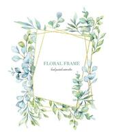 Eucalyptus Watercolor Frame. Eucalyptus Greenery Frame Hand Painted isolated on white background.  Perfect for wedding invitations, floral labels, bridal shower and  floral greeting cards vector