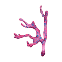 Hand drawn watercolor illustration of a soft pink seaweed. Colorful reef underwater design element isolated on transparent background. png