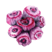 mão desenhado aguarela ilustração do uma suave Rosa coral. colorida recife embaixo da agua Projeto elemento isolado em transparente fundo. png