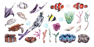 Watercolor set of coral reef underwater world with free diver, tropical fish, seaweed, pebbles, corals and shells. Hand drawn illustration perfect for tropical travel designs png