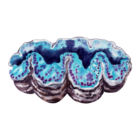 Blue underwater giant clam. Coral reef tropical collection. Hand drawn watercolor illustration isolated on transparent background. png