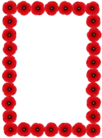 Poppy Frame Rectangle png