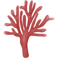 Illustration of red coral with many branches. png