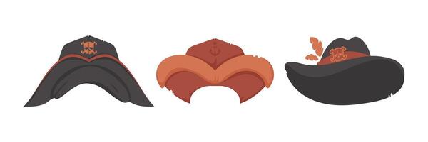 Three different types of shark teeth vector