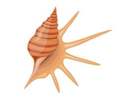 Vector cartoon illustration of colorful seashells on white background.