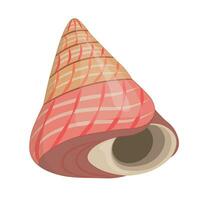 Vector cartoon illustration of colorful seashells on white background.