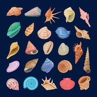 Collection of vector cartoon illustration of colorful seashells on dark background.