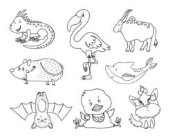 Collection of Vector Linear Illustrations