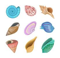 Collection of vector cartoon illustration of colorful seashells on white background.