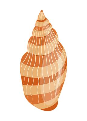 Vector cartoon illustration of colorful seashells on white background.