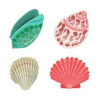 Collection of vector cartoon illustration of colorful seashells on white background.