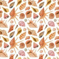Vector seamless pattern with sea, ocean theme. Wallpaper with colorful seashells and undersea world.