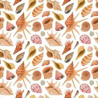 Vector seamless pattern with sea, ocean theme. Wallpaper with colorful seashells and undersea world.