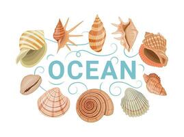 Vector cartoon banner template for sea theme of colorful seashells on white background.