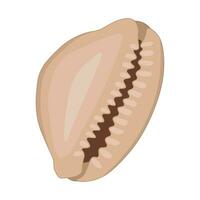 Vector cartoon illustration of colorful seashells on white background.