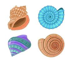 colección de vector dibujos animados ilustración de vistoso conchas marinas en blanco antecedentes.