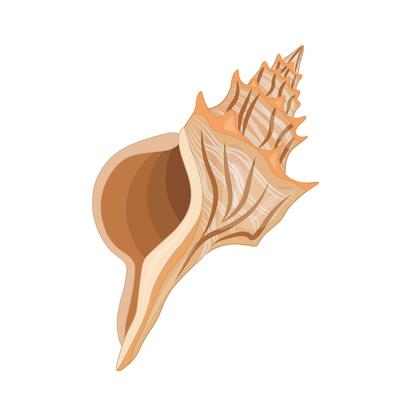 Vector cartoon illustration of colorful seashells on white background.