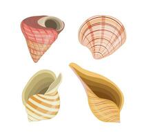 Collection of vector cartoon illustration of colorful seashells on white background.