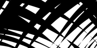 abstract black and white abstract background vector