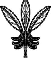 a black and white drawing of a leaf vector