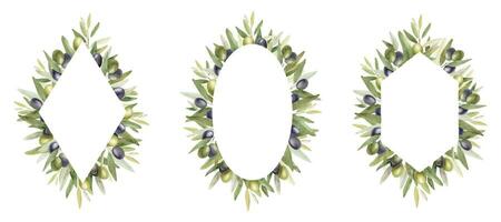 Olive branches, leaves and fruits. Set frames of branches olive tree. Wreath and templates. Watercolor illustrations. For menu, packaging design, wedding invitation, save the date or greeting card. vector