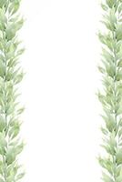 A frame made of green branches and leaves. A layout of greenery. Watercolor illustration. For wedding invitations, postcard design and stationery. vector