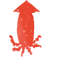 Red squid png. png