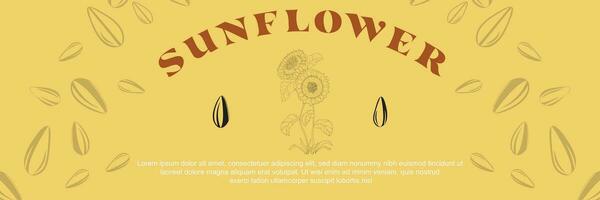 Sunflower oil vintage vector templates of business banners. hand-drawn sunflower, sunflower seed pattern, and text space on a yellow background. Production of sunflower concept in engraving style